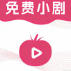 0707影视纯净版下载 0707影视纯净版下载